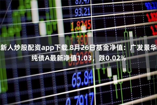 新人炒股配资app下载 8月26日基金净值：广发景华纯债A最新净值1.03，跌0.02%